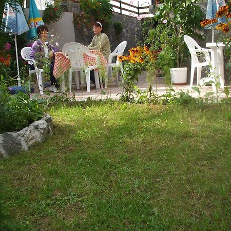 Vila Ana-Maria Sinaia Dış mekan fotoğraf
