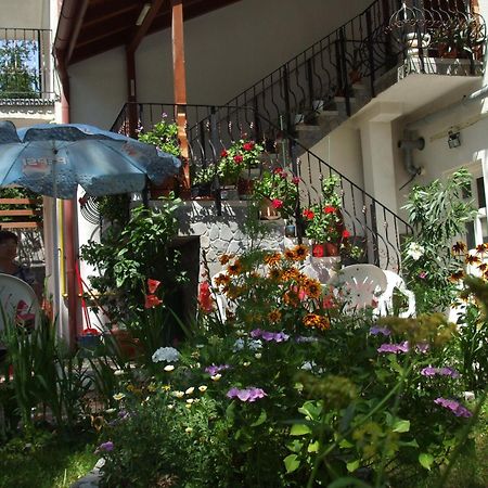 Vila Ana-Maria Sinaia Dış mekan fotoğraf