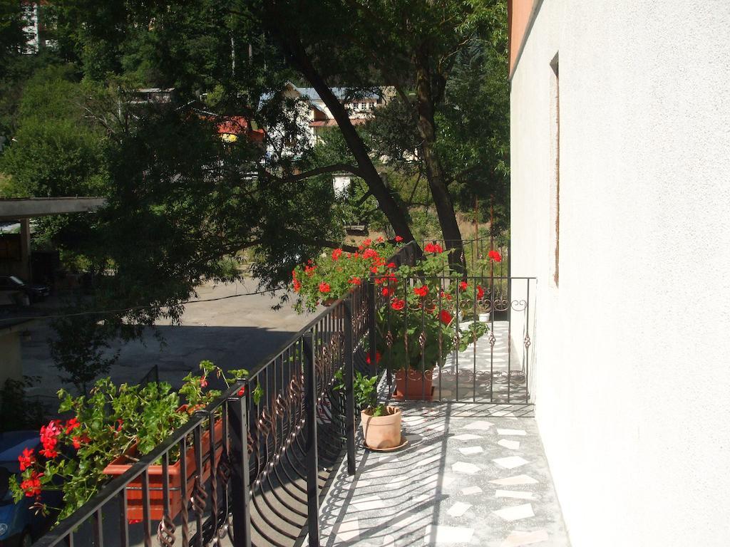 Vila Ana-Maria Sinaia Oda fotoğraf