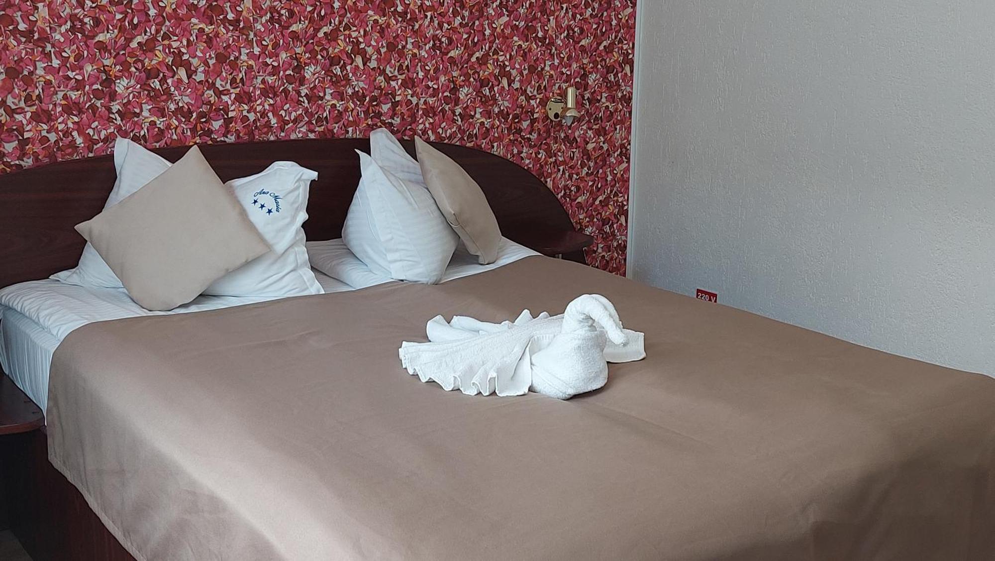 Vila Ana-Maria Sinaia Dış mekan fotoğraf