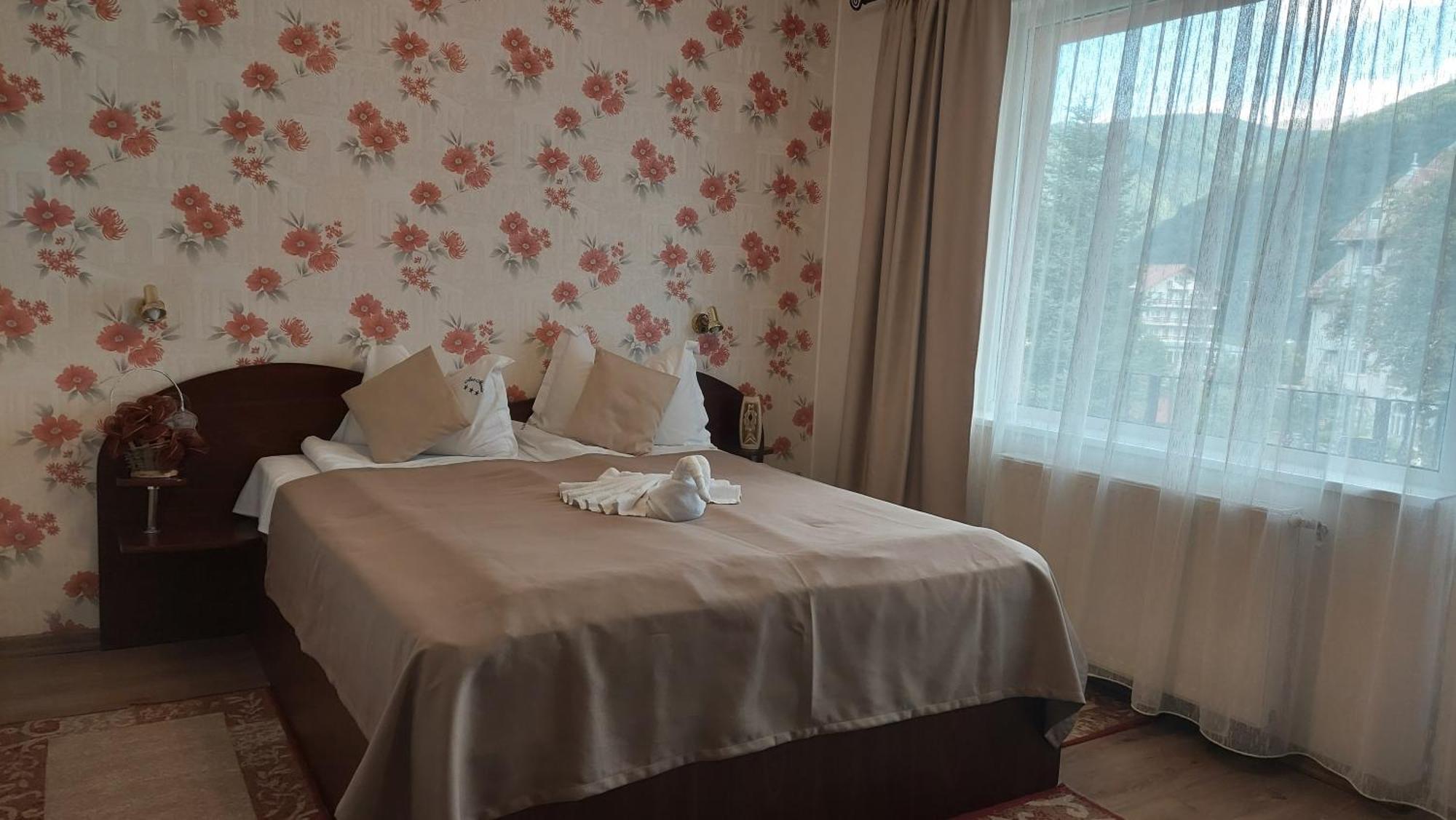 Vila Ana-Maria Sinaia Dış mekan fotoğraf