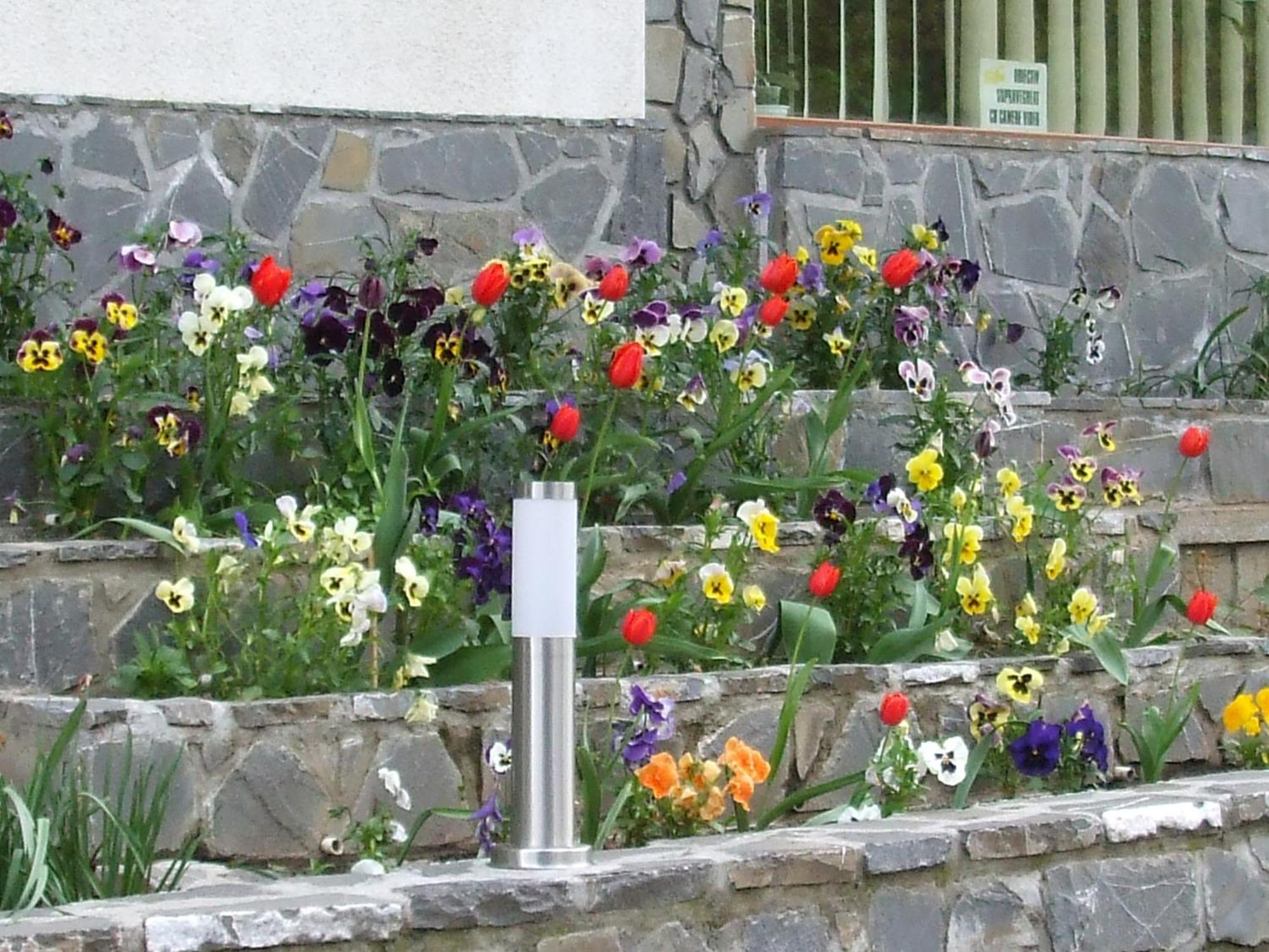 Vila Ana-Maria Sinaia Dış mekan fotoğraf