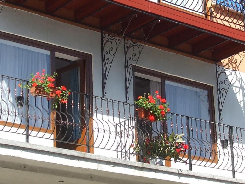 Vila Ana-Maria Sinaia Dış mekan fotoğraf
