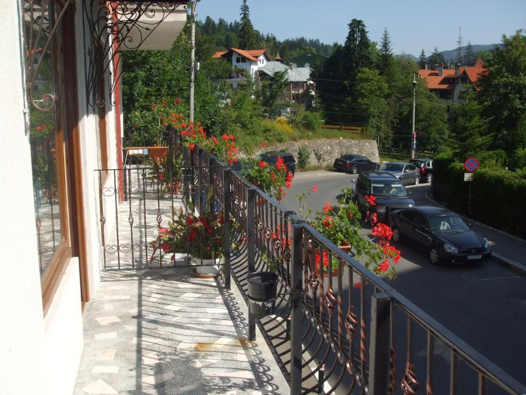Vila Ana-Maria Sinaia Dış mekan fotoğraf